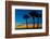 USA, Florida, Sarasota, Crescent Beach, Siesta Key. sunset and palm trees-Bernard Friel-Framed Photographic Print