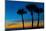 USA, Florida, Sarasota, Crescent Beach, Siesta Key. sunset and palm trees-Bernard Friel-Mounted Photographic Print