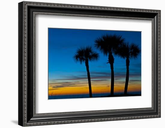 USA, Florida, Sarasota, Crescent Beach, Siesta Key. sunset and palm trees-Bernard Friel-Framed Photographic Print