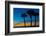 USA, Florida, Sarasota, Crescent Beach, Siesta Key. sunset and palm trees-Bernard Friel-Framed Photographic Print