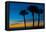 USA, Florida, Sarasota, Crescent Beach, Siesta Key. sunset and palm trees-Bernard Friel-Framed Premier Image Canvas