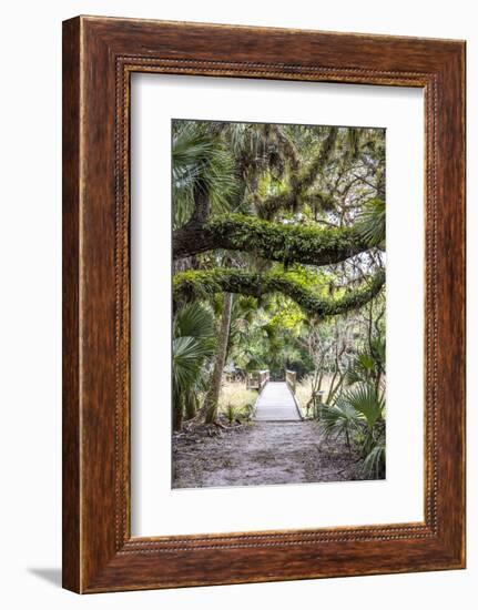 USA, Florida, Sarasota, Myakka River State Park-Hollice Looney-Framed Photographic Print