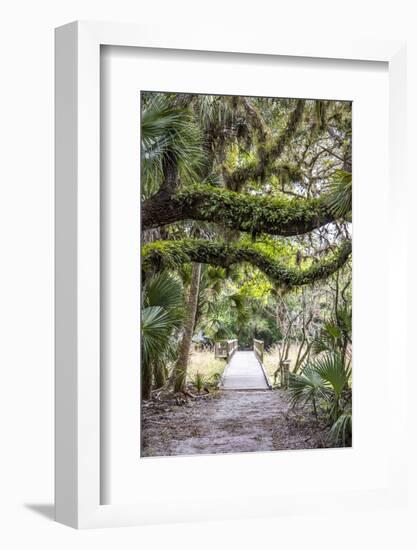 USA, Florida, Sarasota, Myakka River State Park-Hollice Looney-Framed Photographic Print