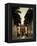 USA, Florida, Sarasota, Ringling Museum, Ca D'Zan, John Ringing Mansion-Walter Bibikow-Framed Premier Image Canvas