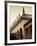 USA, Florida, Sarasota, Ringling Museum, Museum of Art-Walter Bibikow-Framed Photographic Print