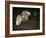 USA, Florida. Snowy egret flying up to nest.-Maresa Pryor-Framed Photographic Print