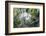 USA, Florida, St. Augustine, Great Egret at Alligator Farm rookery-Jim Engelbrecht-Framed Photographic Print