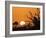 USA, Florida. Sun rising over the Orlando Wetlands Park.-Maresa Pryor-Framed Photographic Print