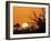 USA, Florida. Sun rising over the Orlando Wetlands Park.-Maresa Pryor-Framed Photographic Print