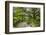 USA, Florida. Tropical garden with palm trees and living oak covered in Spanish moss.-Anna Miller-Framed Photographic Print