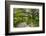 USA, Florida. Tropical garden with palm trees and living oak covered in Spanish moss.-Anna Miller-Framed Photographic Print