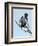 USA, Florida, Venice. Audubon Rookery, Anhinga male Displaying in tree-Bernard Friel-Framed Premium Photographic Print