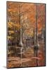 USA, George Smith State Park, Georgia. Fall cypress trees with wood duck box.-Joanne Wells-Mounted Photographic Print