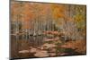 USA, Georgia. Cypress trees in the fall at George Smith State Park.-Joanne Wells-Mounted Photographic Print