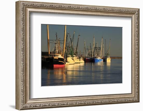 USA, Georgia, Darien. Shrimp boats docked at Darien.-Joanne Wells-Framed Photographic Print