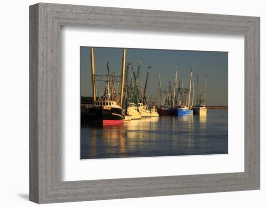 USA, Georgia, Darien. Shrimp boats docked at Darien.-Joanne Wells-Framed Photographic Print