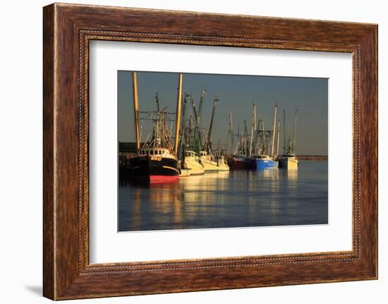 USA, Georgia, Darien. Shrimp boats docked at Darien.-Joanne Wells-Framed Photographic Print