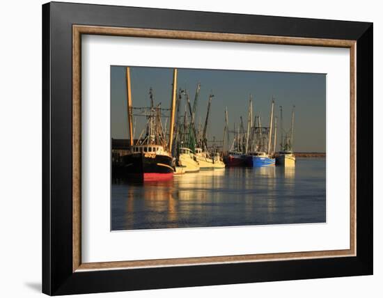 USA, Georgia, Darien. Shrimp boats docked at Darien.-Joanne Wells-Framed Photographic Print