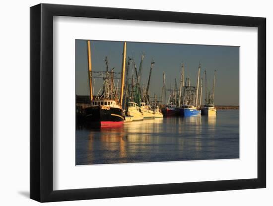 USA, Georgia, Darien. Shrimp boats docked at Darien.-Joanne Wells-Framed Photographic Print