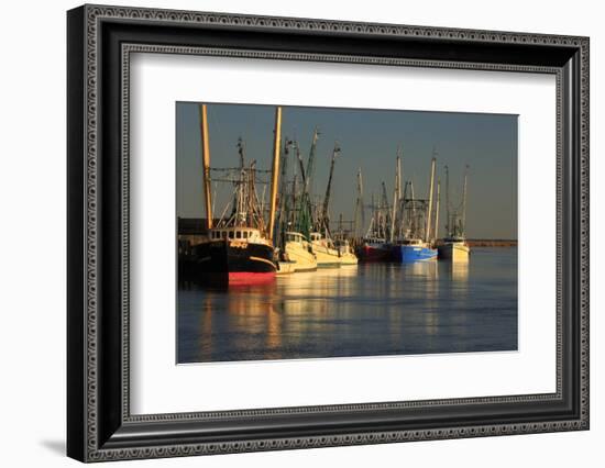 USA, Georgia, Darien. Shrimp boats docked at Darien.-Joanne Wells-Framed Photographic Print