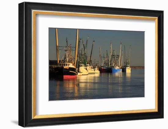 USA, Georgia, Darien. Shrimp boats docked at Darien.-Joanne Wells-Framed Photographic Print