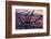 USA, Georgia, Jekyll Island, Driftwood Beach at Sunrise-Joanne Wells-Framed Photographic Print