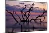 USA, Georgia, Jekyll Island, Driftwood Beach at Sunrise-Joanne Wells-Mounted Photographic Print
