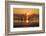 USA, Georgia. Jekyll Island, Driftwood Beach at sunrise.-Joanne Wells-Framed Photographic Print