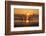 USA, Georgia. Jekyll Island, Driftwood Beach at sunrise.-Joanne Wells-Framed Photographic Print