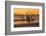 USA, Georgia. Jekyll Island, Driftwood Beach at sunrise.-Joanne Wells-Framed Photographic Print