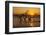 USA, Georgia. Jekyll Island, Driftwood Beach at sunrise.-Joanne Wells-Framed Photographic Print