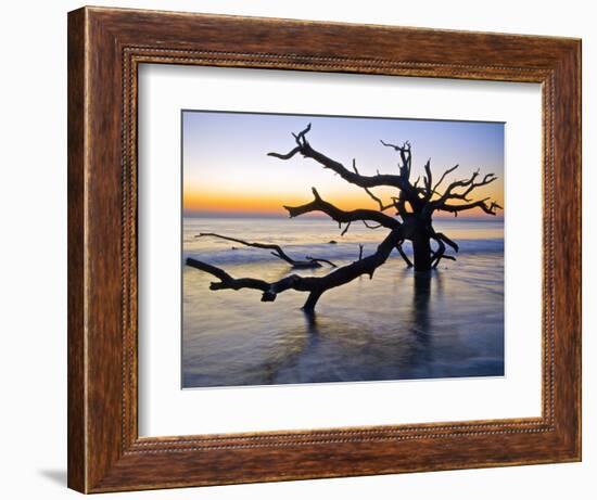 USA, Georgia. Jekyll Island, tree, ocean-George Theodore-Framed Photographic Print