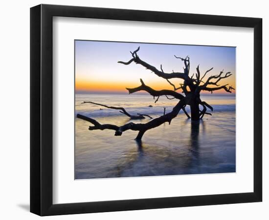 USA, Georgia. Jekyll Island, tree, ocean-George Theodore-Framed Photographic Print