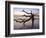 USA, Georgia. Jekyll Island, tree, ocean-George Theodore-Framed Photographic Print