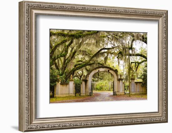USA, Georgia, Savanah, Gateway and tree lined drive way at the Wormsloe Plantation-Jordan Banks-Framed Photographic Print