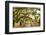 USA, Georgia, Savanah, Gateway and tree lined drive way at the Wormsloe Plantation-Jordan Banks-Framed Photographic Print