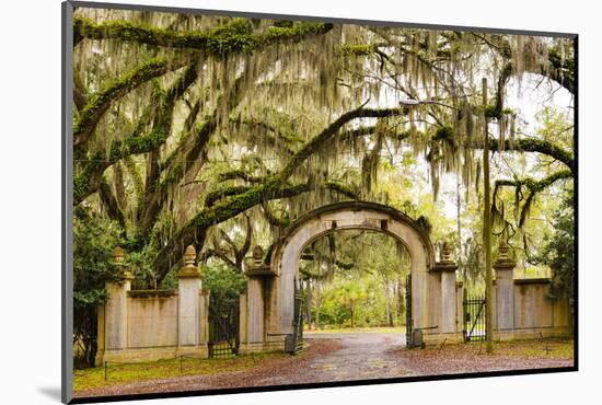 USA, Georgia, Savanah, Gateway and tree lined drive way at the Wormsloe Plantation-Jordan Banks-Mounted Photographic Print