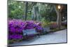 USA, Georgia, Savannah. Azaleas in the spring at Forsyth Park.-Joanne Wells-Mounted Photographic Print