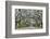 USA, Georgia, Savannah. drive at entrance to plantation-Hollice Looney-Framed Photographic Print