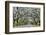 USA, Georgia, Savannah. drive at entrance to plantation-Hollice Looney-Framed Photographic Print