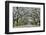 USA, Georgia, Savannah. drive at entrance to plantation-Hollice Looney-Framed Photographic Print