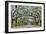 USA, Georgia, Savannah. drive at entrance to plantation-Hollice Looney-Framed Photographic Print