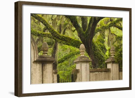 USA, Georgia, Savannah, Entrance to Wormsloe Plantation.-Joanne Wells-Framed Photographic Print