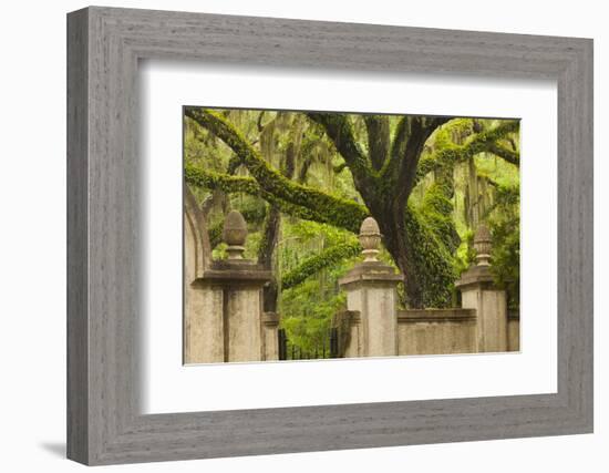 USA, Georgia, Savannah, Entrance to Wormsloe Plantation.-Joanne Wells-Framed Photographic Print