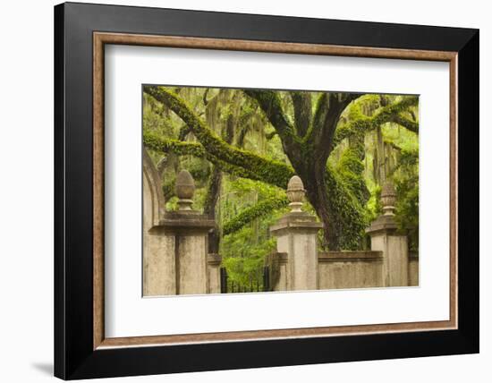 USA, Georgia, Savannah, Entrance to Wormsloe Plantation.-Joanne Wells-Framed Photographic Print