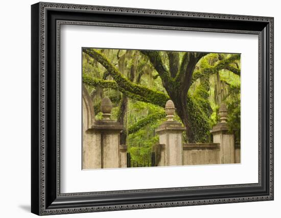 USA, Georgia, Savannah, Entrance to Wormsloe Plantation.-Joanne Wells-Framed Photographic Print