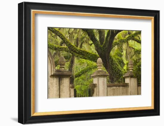 USA, Georgia, Savannah, Entrance to Wormsloe Plantation.-Joanne Wells-Framed Photographic Print