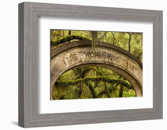 USA, Georgia, Savannah, Entrance to Wormsloe Plantation.-Joanne Wells-Framed Photographic Print