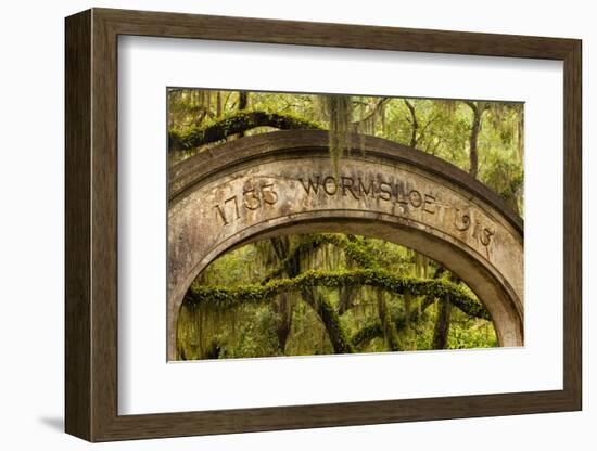 USA, Georgia, Savannah, Entrance to Wormsloe Plantation.-Joanne Wells-Framed Photographic Print