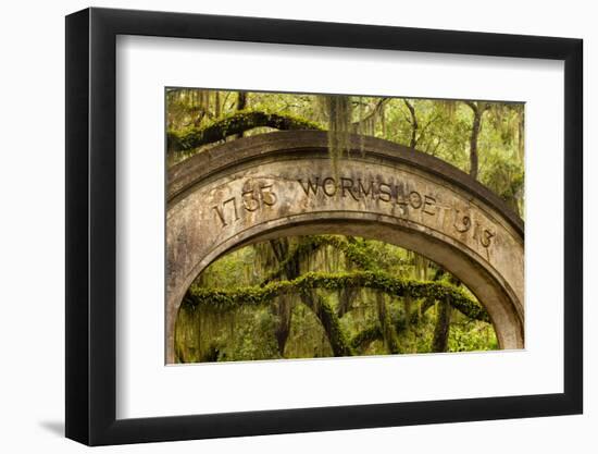 USA, Georgia, Savannah, Entrance to Wormsloe Plantation.-Joanne Wells-Framed Photographic Print